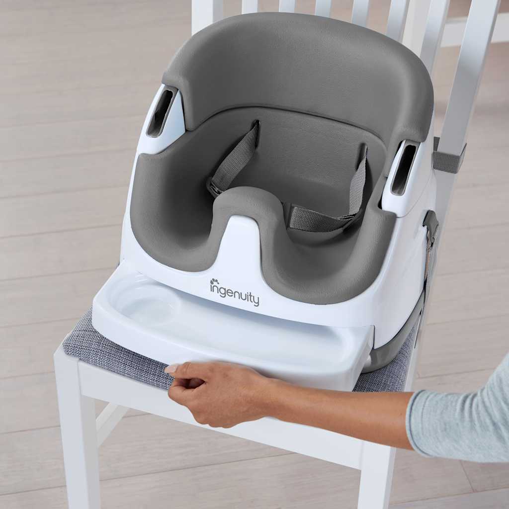 Ingenuity 2-In-1 Babysity Schiefergrau