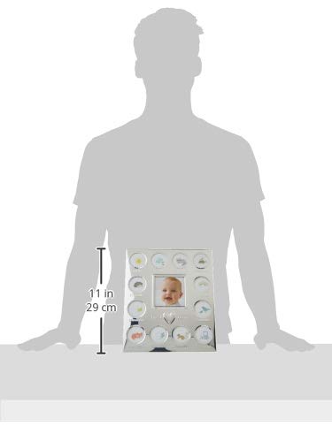 Carter'S Baby'S First Year Animal Theme Silver Metal Month By Month Picture Frame, 9.75' L X 11.75' H