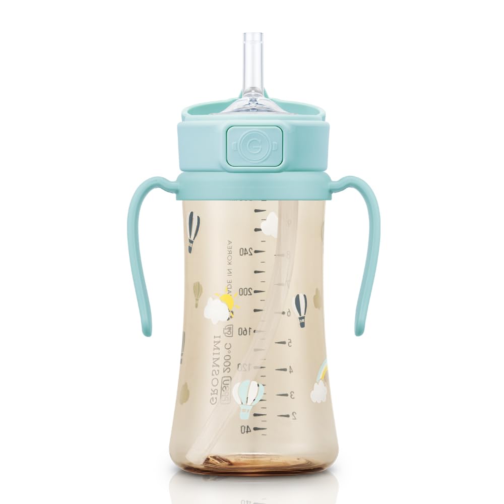 Grosmimi Flip Top Spill Proof Sippy Cup, Ppsu, Bpa Free, 10 Oz, Stage 2 Straw For Toddlers (Air Balloon)