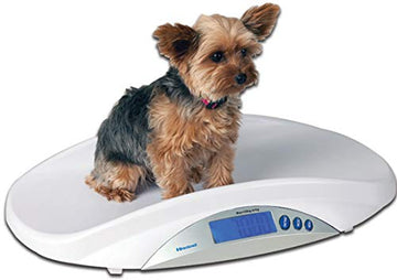 Brecknell, Ms-15, Medical/Veterinary Scale, 44 Lb X 0.01 Lb