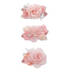 Flower Hair Clip Bfnaagirl Baby Girl Hair Bows Exquisite Hair Accessories Alligator Clips For Infants Toddlers Teen Kids Gift 3P