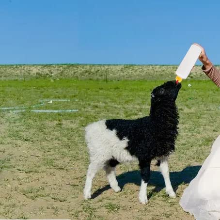 Woyous Goat Nipple And Bottles Set, 12 Pieces Small Animal Milk Drink Pritchard Nipple 2 Pieces 400 Ml Lamb Feeding Bottle Kit F