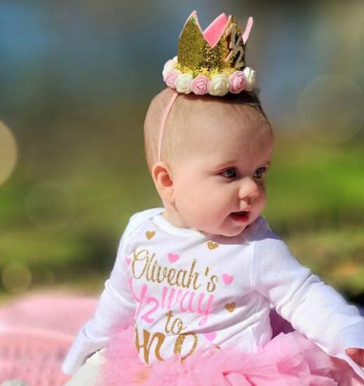 Sparkle 1St Baby Crown Headband Hat, Glitter First Birthday Flowers Crown For Princess Girl Baby Show Toddler Photography (Pink