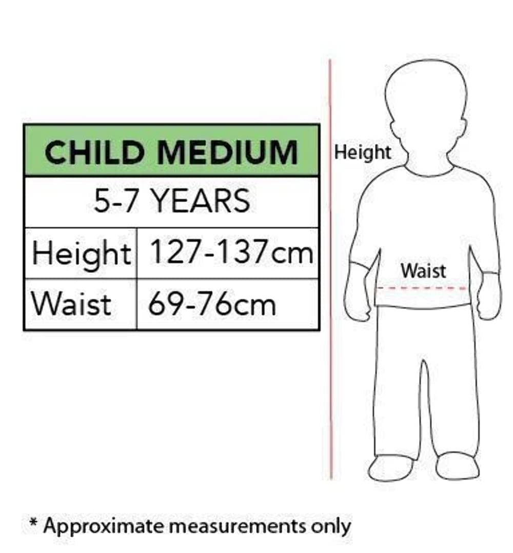 Star Wars Darth Vader Costume Dress, Medium