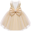 Baby Flower Girl Party Wedding Princess Dress,Sleeveless Floor Length Tutu Tulle Dance Birthday Gown 2T