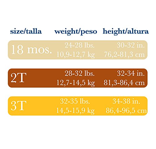 Gerber 4 Pack Stripes Training Pants, Blue Stripe, 2T