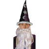 Wizard Hat Eggplant Color 15'