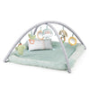 Ingenuity Calm Springs Plush Activity Gym For Baby, Ultra-Soft Premium Mat, Toys