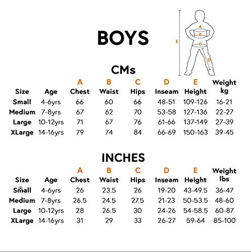 Link Classic Costume, Large (10-12)