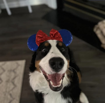 Clgift July 4Th Minnie Ears, Snow White Minnie, Red Silver Gold Blue Minnie Ears, Rainbow Sparkle Mouse Ears,Classic Red Sequin