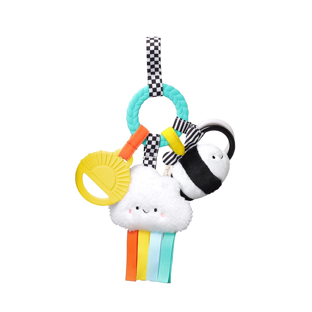 Itzy Ritzy Teething Activity Toy - Bitzy Busy Ring Infant Teething Toy Features Braided Ring & Dangling Toys, Includes Teether,