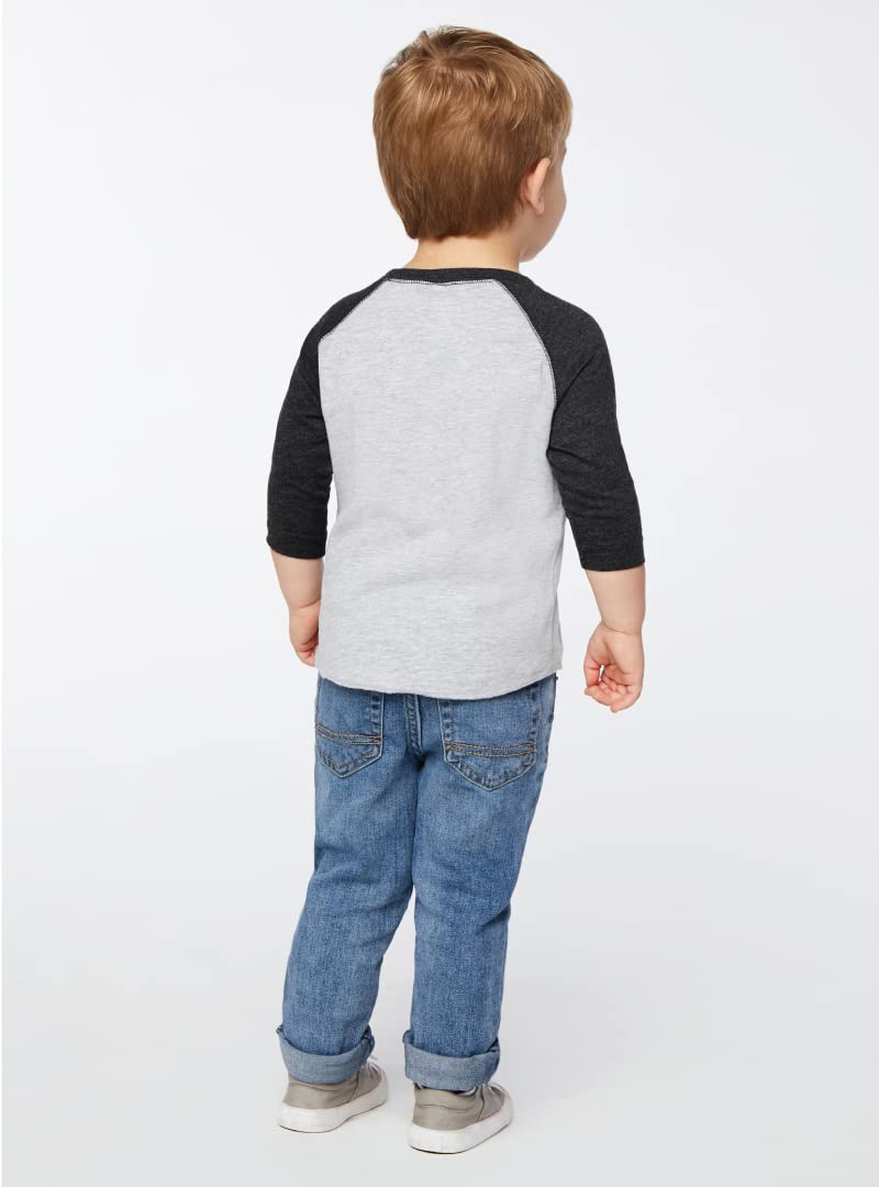 Rabbit Skins Toddler Fine Jersey Raglan 3/4 Sleeve Baseball Tee, Vintage Heather/Vintage Smoke, 2T
