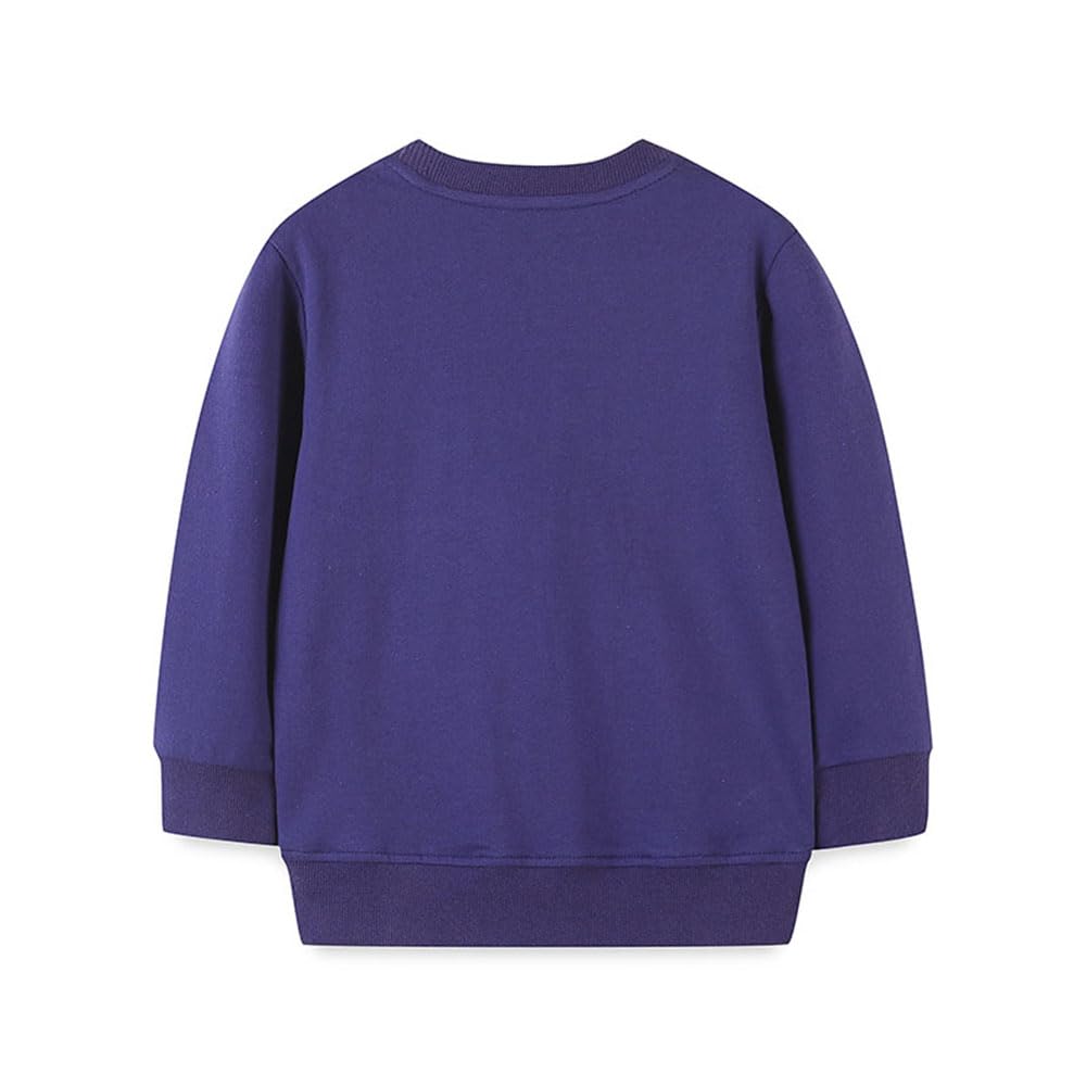 Girls Owl Sweatshirt Long Sleeve Crewneck Animal Shirt Toddler Fall Winter Outfits Kids Cotton Blue Sweaters Tops 6T