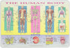 SALES4LESS Learning Human Body Placemat