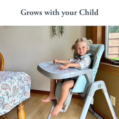 Inglesina My Time Highchair, Mint - Adjustable High Chair For Babies & Toddlers, 4 Height & 3 Recline Settings, Collapsible, Too