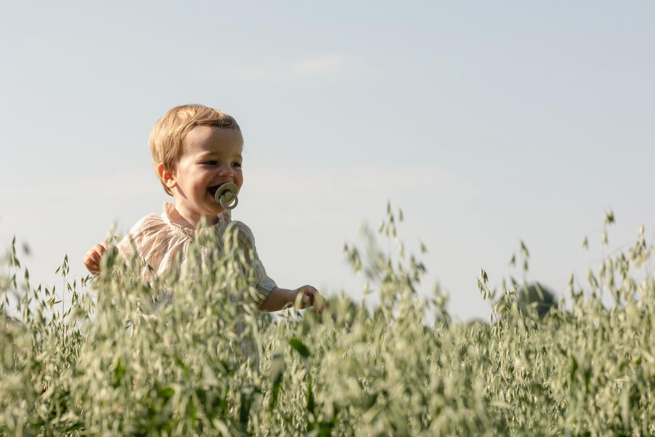 Bibs Pacifiers Colour Collection | Natural Rubber Baby Pacifier | Set Of 2 Bpa-Free Soothers | Made In Denmark | 18+ Months (Pac