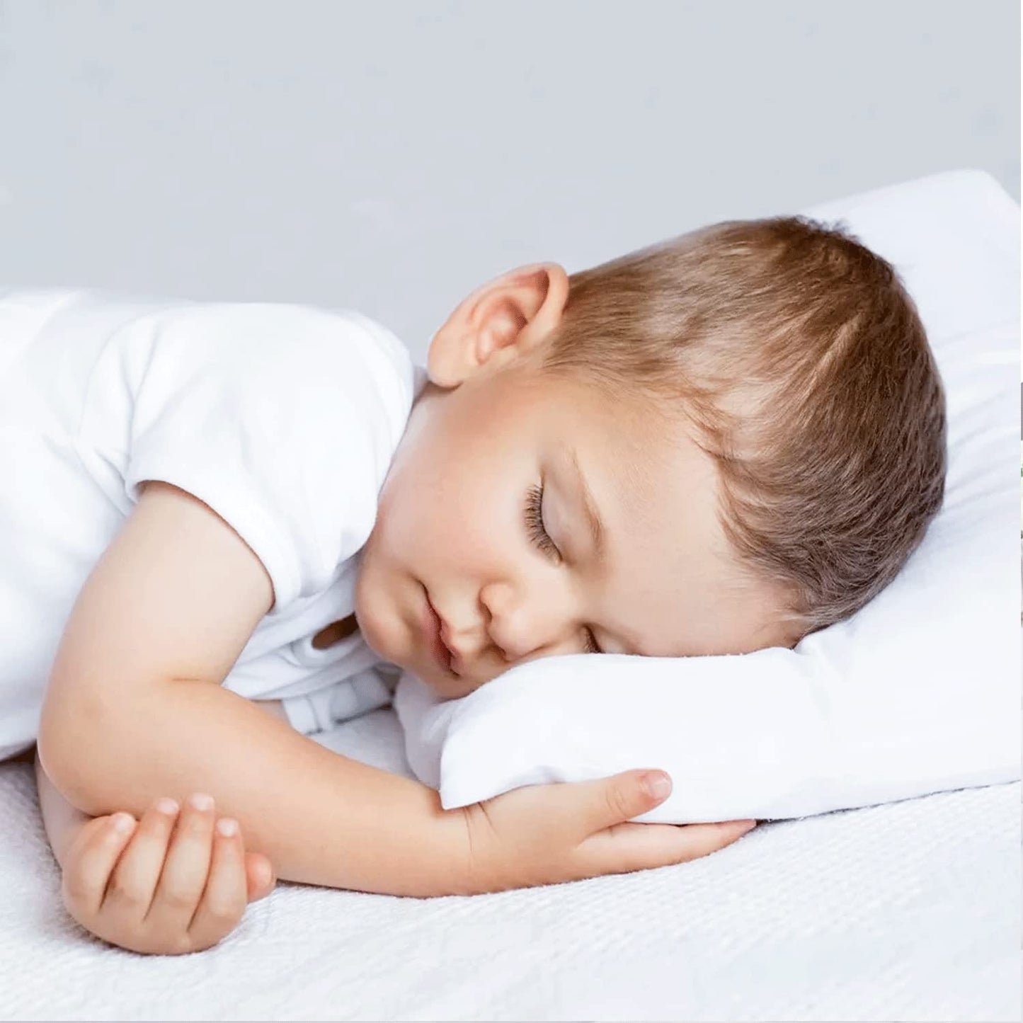 Toddler Travel Mini Pillowcase 14 X 20 Zipper Set Of 2 Small Pillow Cases For Travel Pillows 500 Thread Count 100% Soft Egyptian