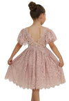 2Bunnies Girl Paisley Lace Back A-Line Tutu Tulle Party Flower Girl Dress (All Lace Flutter Sleeve Knee-Dusty Pink, 7/8)