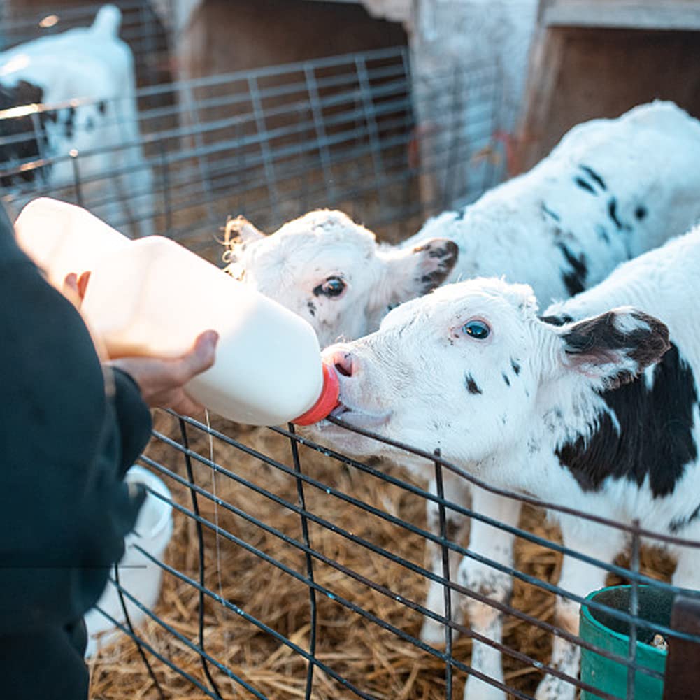 Moduoduo Calf Bottle With A Replacement Nipple 2.11 Quart Milk Feeder Nursing Feeding Bottle