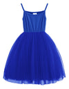 Lyxiof Toddler Tutu Dress Baby Girls Tulle Sleeveless Princess Party Sundress Royal Blue 2 Years