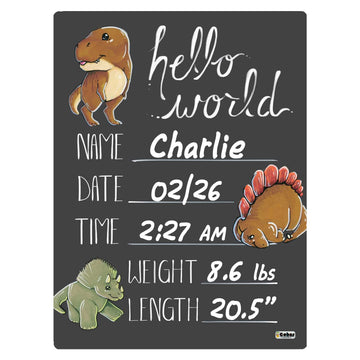 Cohas Hello World Newborn Baby Announcement Chalkboard Sign With Dinosaur Theme, 9 By 12 Inches, No Marker