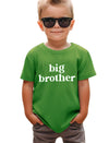 Sanixjoo Big Brother Toddler Shirt Baby Boy Promoted To Big Bro Sibling Reveal Shirt Big Brother Gifts For Toddler Boy(Green,4-5
