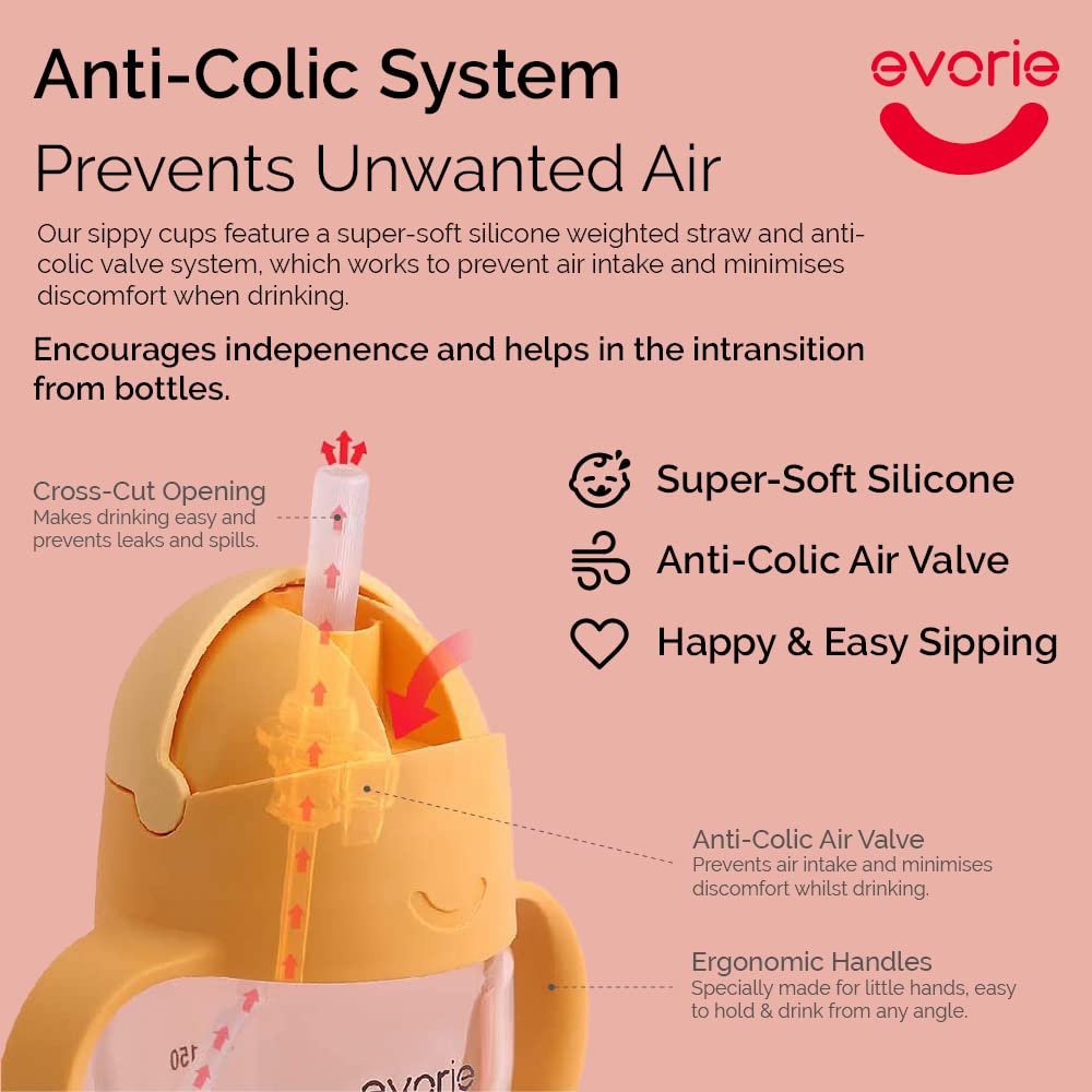 Evorie Tritan Weighted Straw Sippy Cup With Handles For Baby And Toddlers 6 Months Up, 7 Oz Soft Silicone Straw Infant First Tra