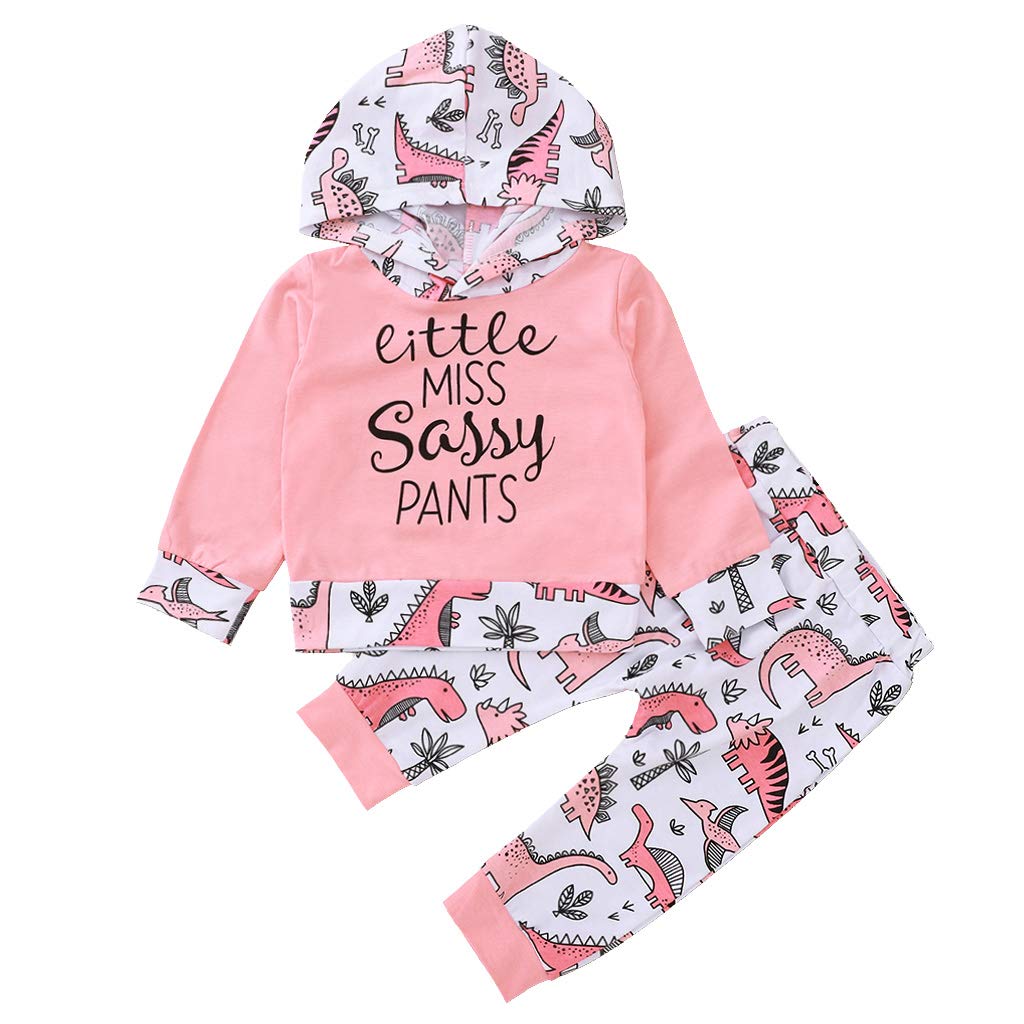 Toddler Little Girl Clothes Long Sleeve Hoodie Sweatshirt Dinosaur Print Pants 2Pcs Outfits Set 2-3T