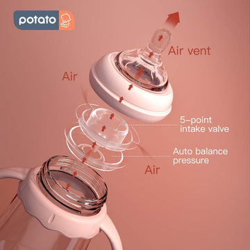 Potato Glass Baby Bottles, Anti-Colic Breastfeeding Bottles With Fast Flow Nipple, Suitable For Babies 6-12 Months, 2 Replaceabl