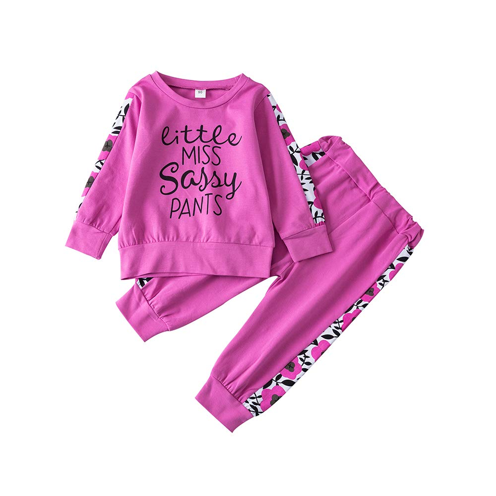 Infant Toddler Baby Girl Clothes Long Sleeve T-Shirt Tops Pants Outfits Set 3-4T Pink