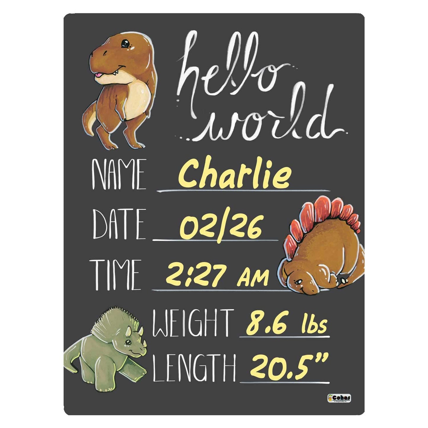 Cohas Hello World Newborn Baby Announcement Chalkboard Sign With Dinosaur Theme, 9 By 12 Inches, No Marker