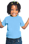 Rabbit Skins 5.5 Oz. Jersey Short-Sleeve T-Shirt (Rs3301) Light Blue, 2T