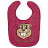 Ncaa University Of Minnesota Wcra2174814 All Pro Baby Bib