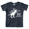 Rawr Im Big Brother Shirt Dinosaur Toddler Boytshirt Dino Announcement Ouotfit. (Us, Age, 12 Months, Charcoal Black)