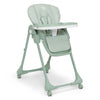 Delta Children Little Folks 2-In-1 Slimfold High Chair For Babies And Toddlers, Sage Green