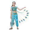 Dressy Daisy Arabian Princess Costume Halloween Party Fancy Dress Up Belly Dance Wear Outfit For Little Girls Size 12, Style G