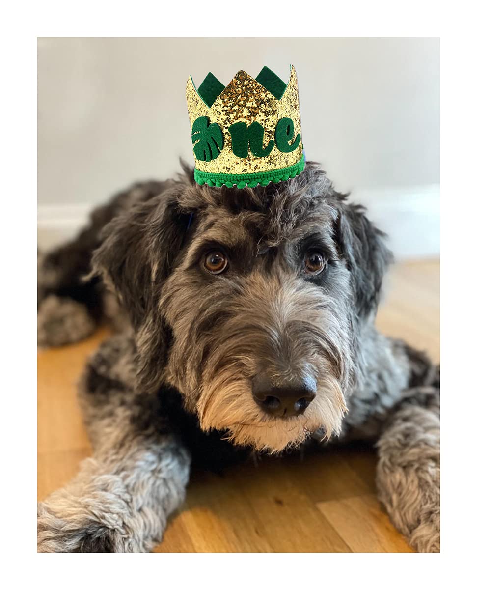 Ullovit First 1St Birthday Crown For Baby Boys Prince, Sparkle Gold Green Wild One Birthday Hat Headband Cake Smash Photo Decora