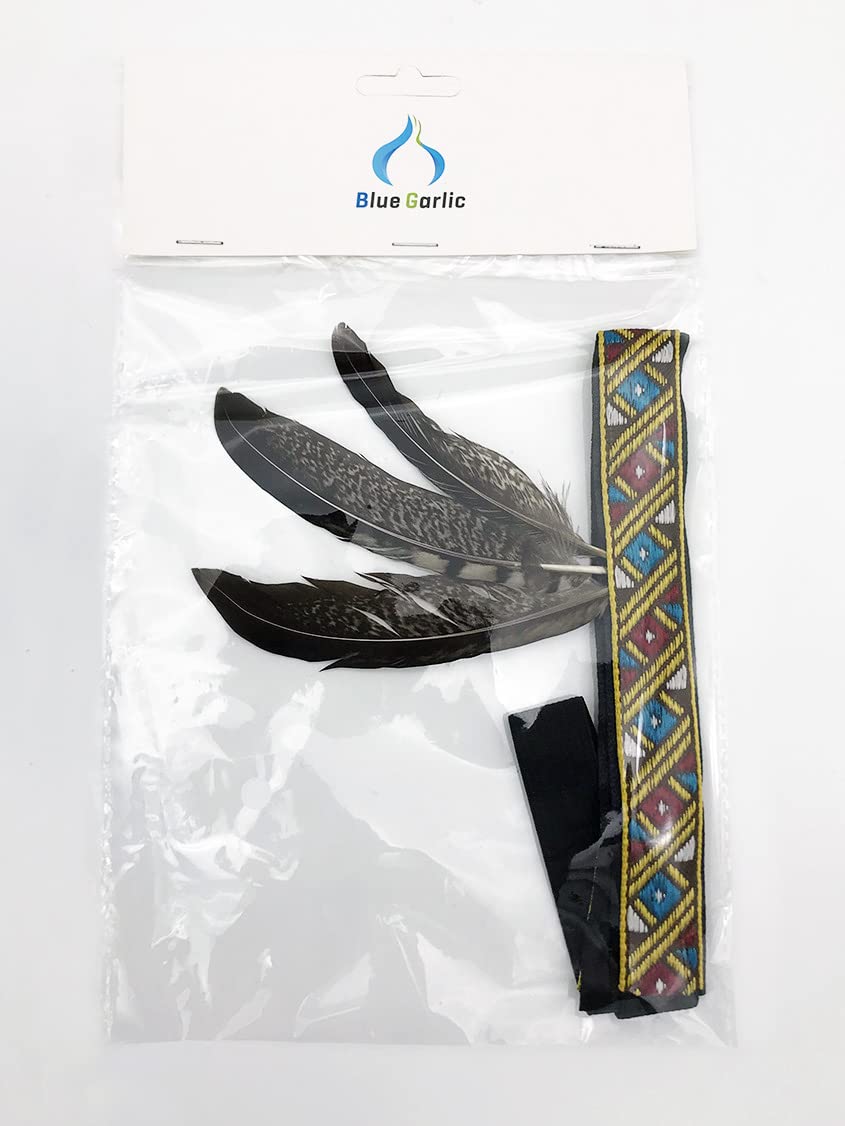Blue Garlic Feather Headdress | Native American Indian Inspired Costume Boys Girls