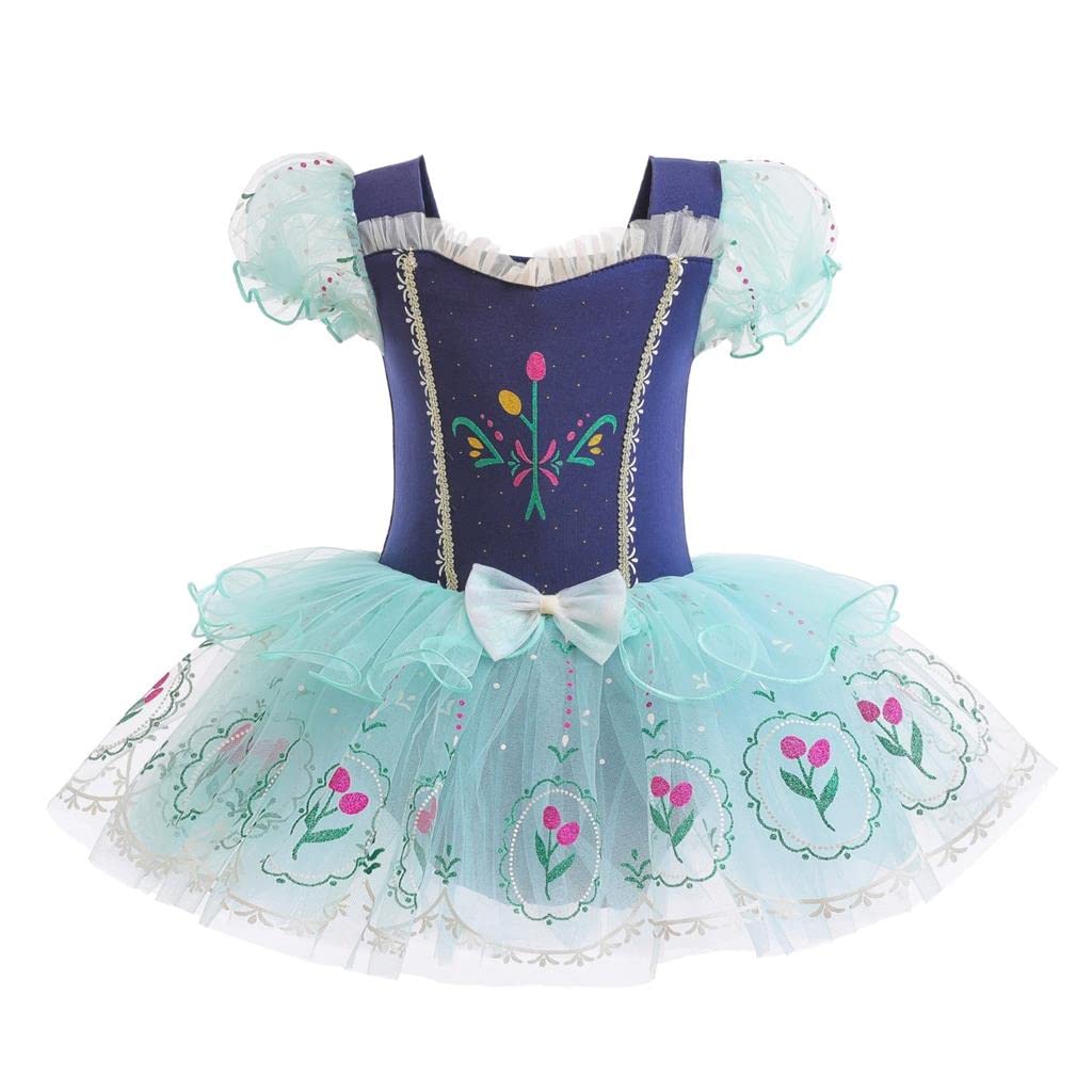Dressy Daisy Ice Princess Ballet Leotards Tutu Dress for Little Girls Ballerina Outfits Dance Costume Dancewear with Tulle Skirt