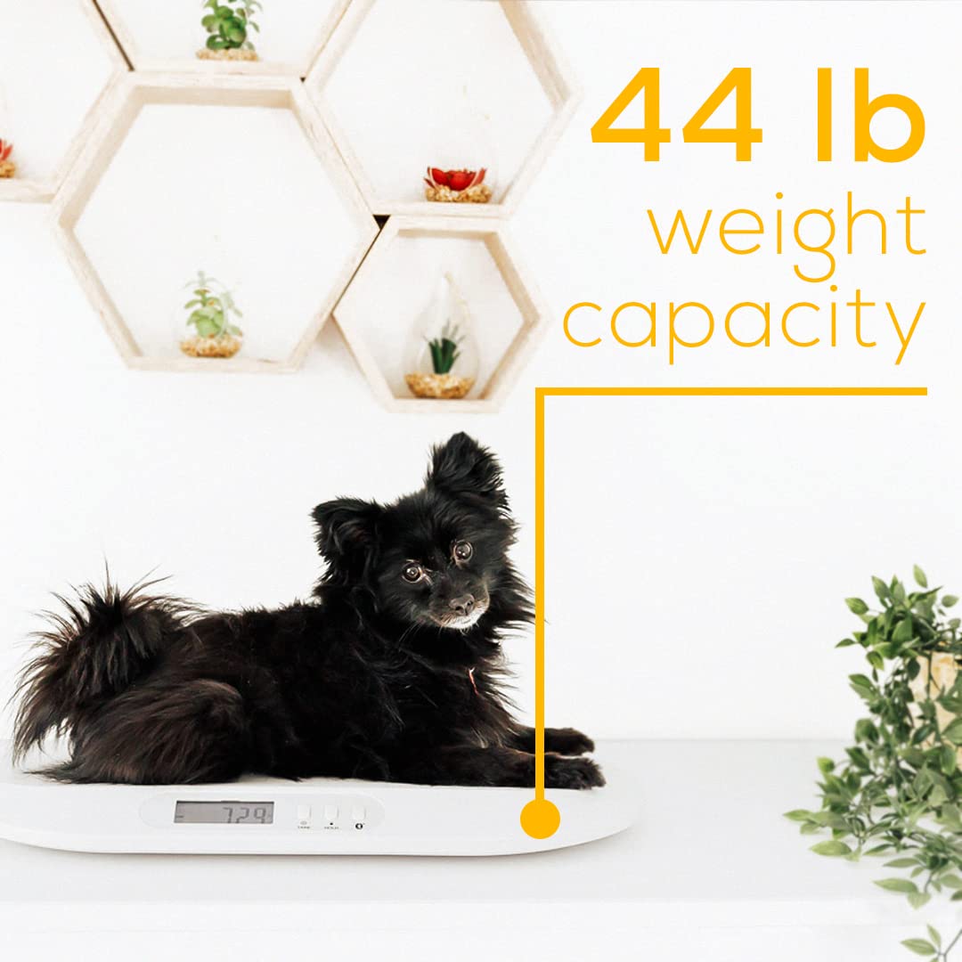 Beurer By90 Baby Scale, Pet Scale, Digital, With Measuring Tape, Tracking Weight With App | For: Infant, Newborn, Toddler /Puppy