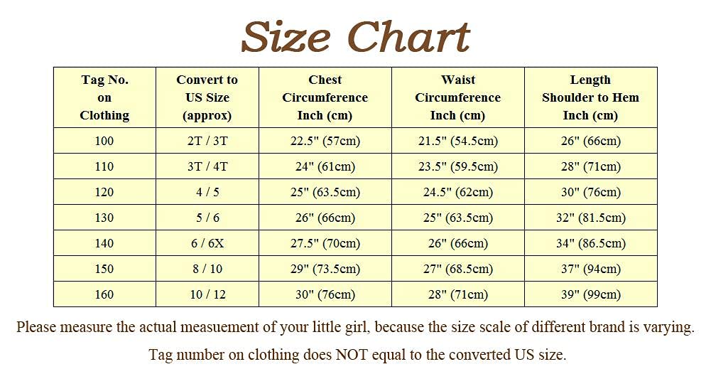 Dressy Daisy Litttle Girls' Ice Princess Sister Coronation Gown Birthday Halloween Christmas Fancy Party Costume With Accessorie