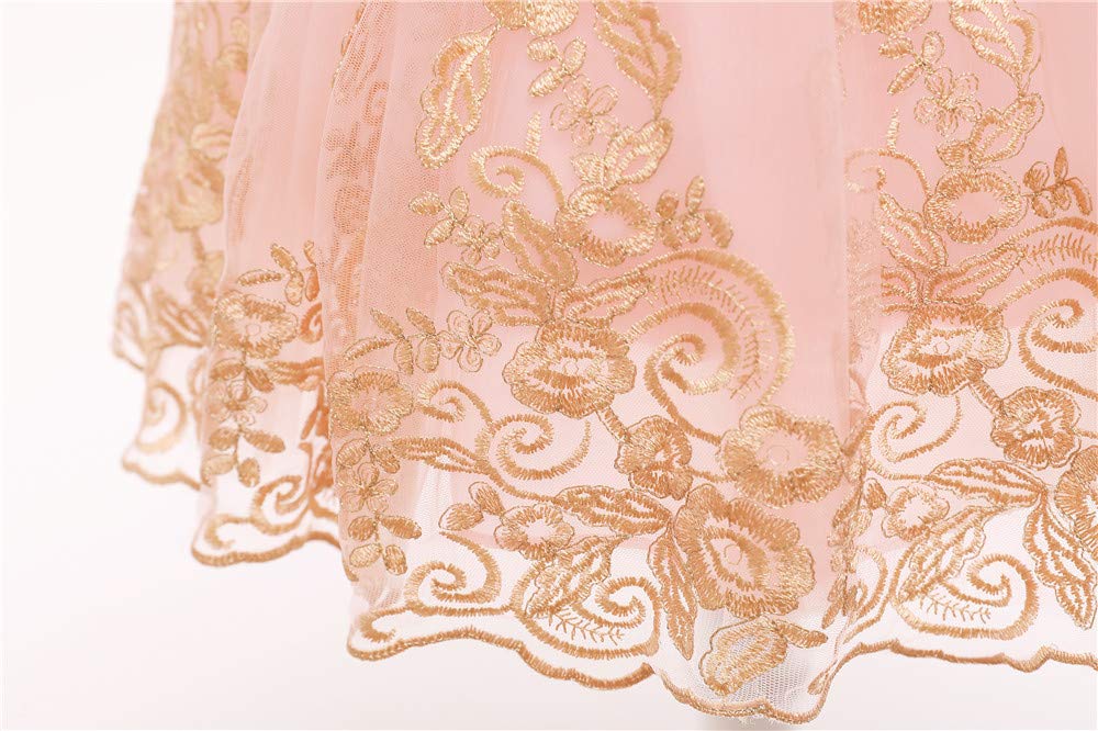 Flower Girls Dresses Wedding Baby Birthday Party Christmas Easter Pageant Event Prom Lace Dress (Pink02,90)
