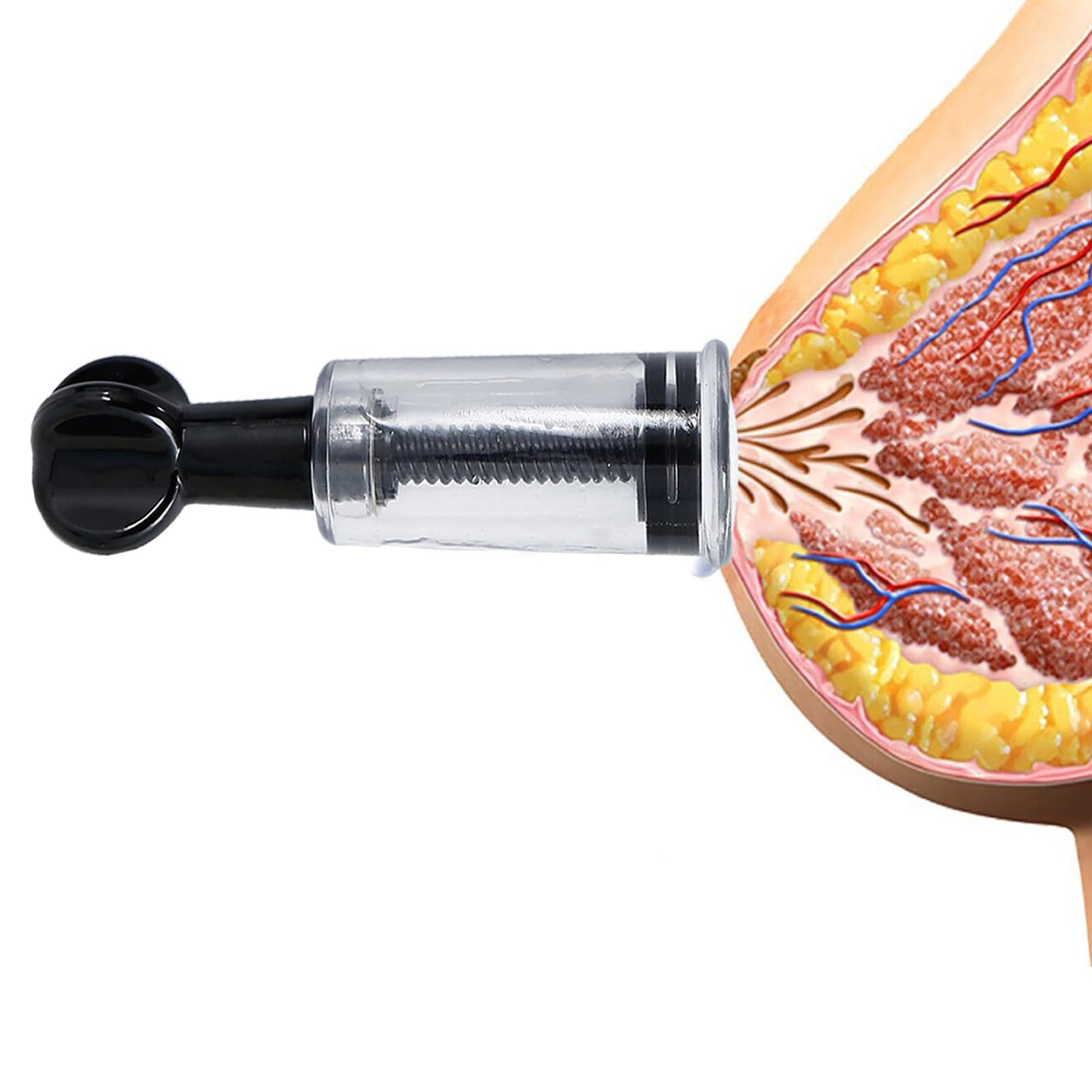 Jesakmie 2 Pair Nipple Play Nipple Corector For Flat Or Inverted Nipples, Portable Nipple Suckers Vacuum Suction Cupping Device,