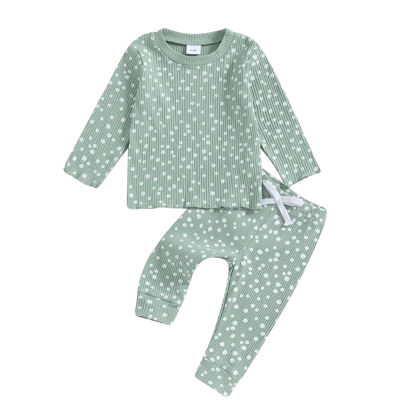 Baby Girl Fall Clothes Set Floral Print Long Sleeve Tops Pants Cute Infant Toddler Outfits 6 12 18 24 Months 2T (Floral Green, 1