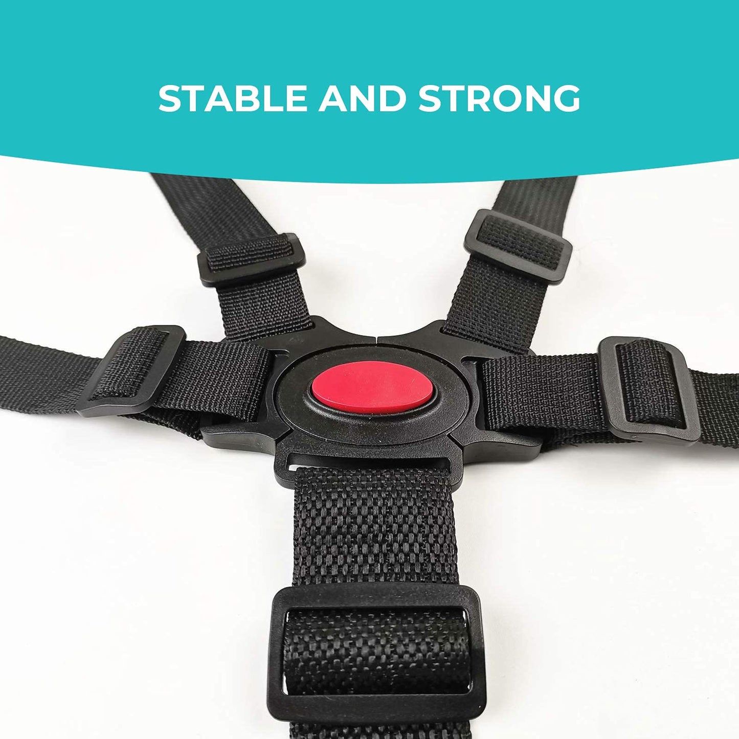 5 Point Harness Seat Belt
