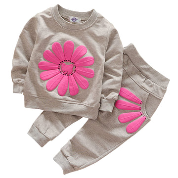 Toddler Baby Girls Sunflower Clothes Set Long Sleeve Top And Pants 2Pcs Outfits Fall Clothes (Grey,Age 4T)