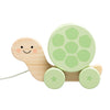 Pearhead Wooden Turtle Push and Pull Toy, Montessori Shake and Rattle Shell, Baby Walking and Gross Motor Development Learning,