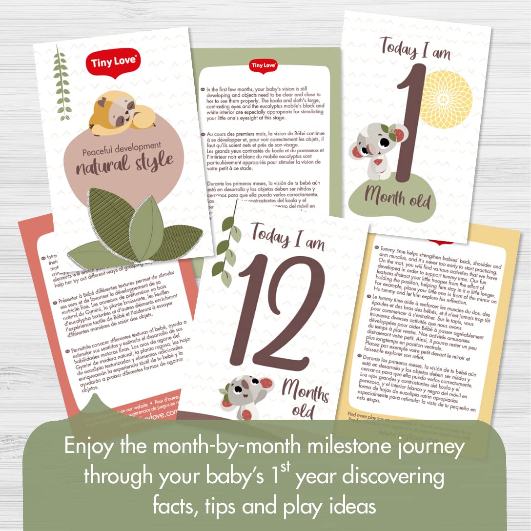 Tiny Love Boho Chic Gymini With Mirror And Detachable Toys, Wall Mount, Developmental Gym And Playmat For Babies, Newborns, And