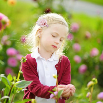 Flower Hair Clip Bfnaagirl Baby Girl Hair Bows Hair Accessories Alligator Clips For Infants Toddlers Gift (One Size, Flower8058)