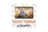 Kate & Milo Cutest Pumpkin in The Patch, Baby Photo Frame Keepsake, Babys First Halloween, Baby Fall Decor, Halloween D cor Ac